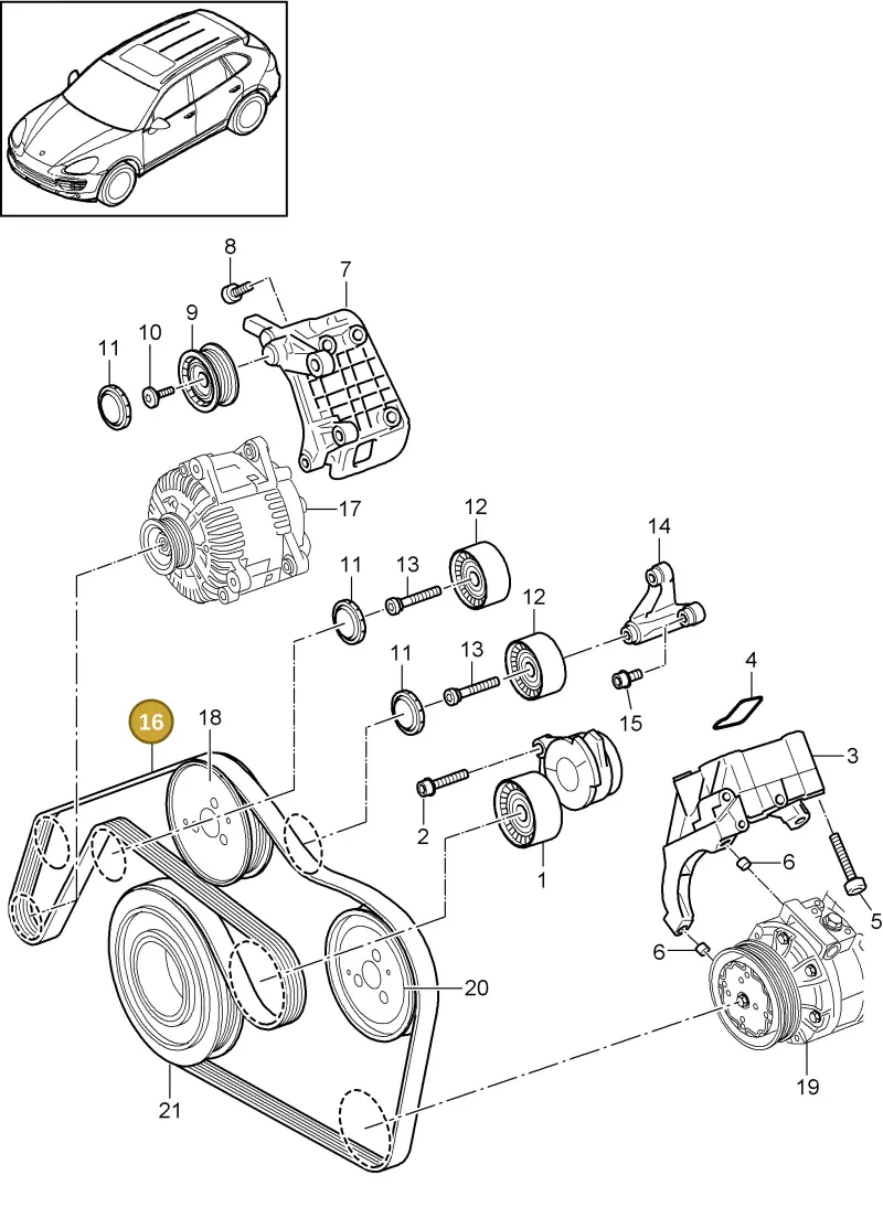 95810221610 Porsche Poly-V-Belt