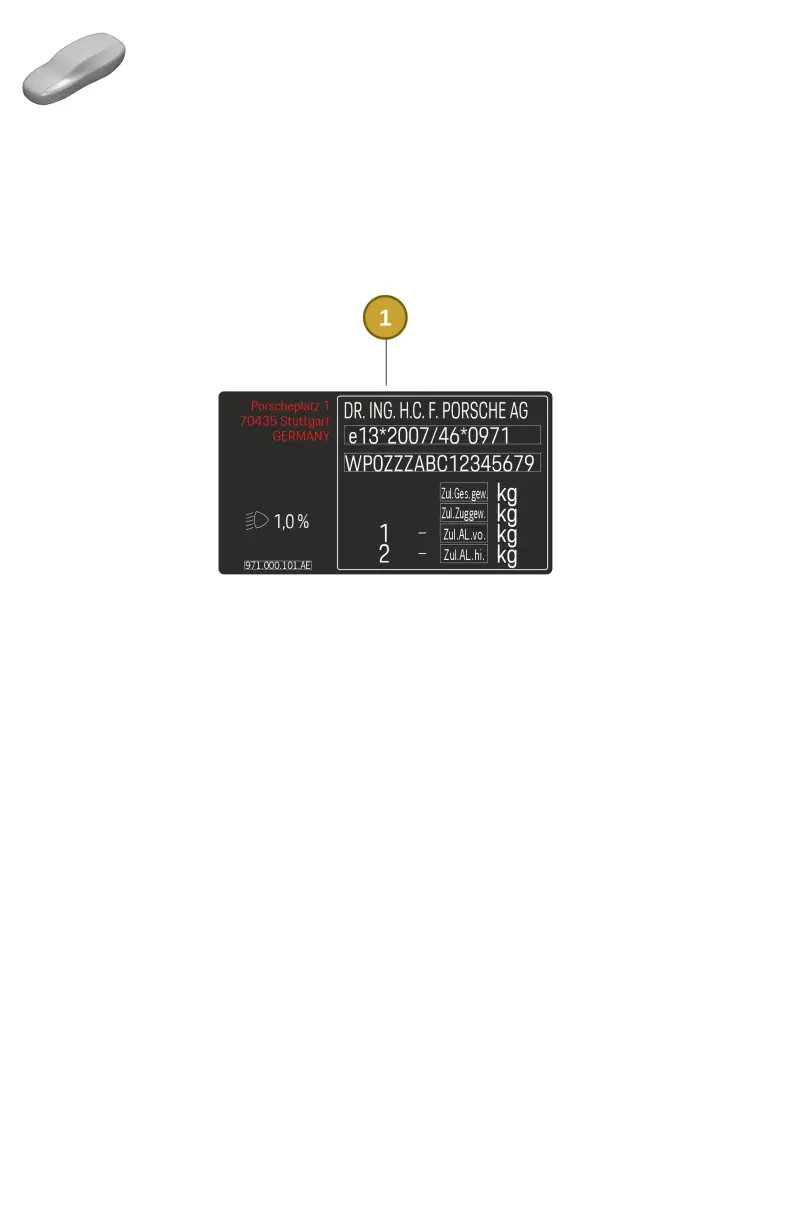 974000101FT Porsche Data Tag