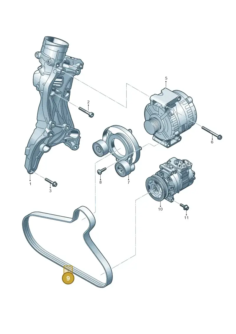 06N903137B Volkswagen Poly-V-Belt