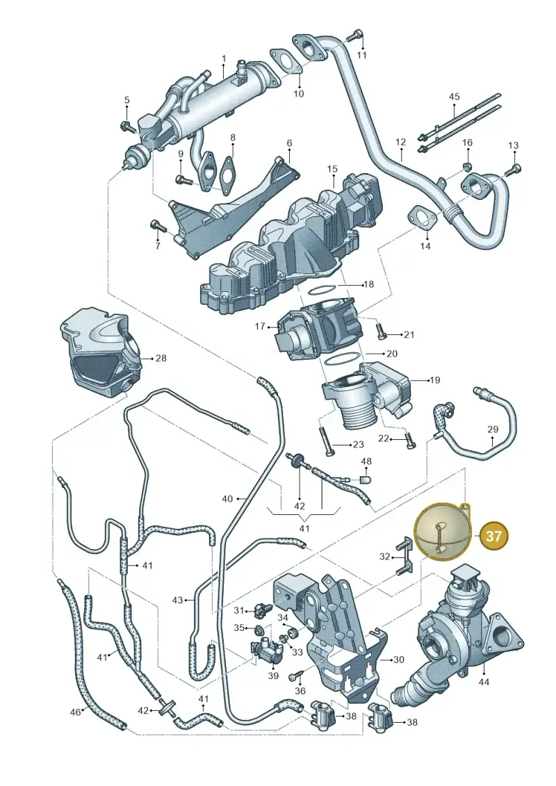 038129807 — Audi A4 Av. Allroad (2008-2016) diagram 636131000, position 37