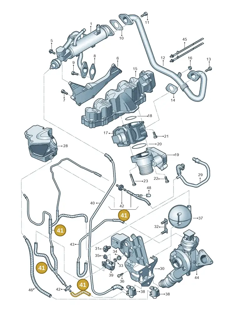 03L131552AA — Audi A6 2.7 TDI (2008-2011) diagram 636131000, position 41