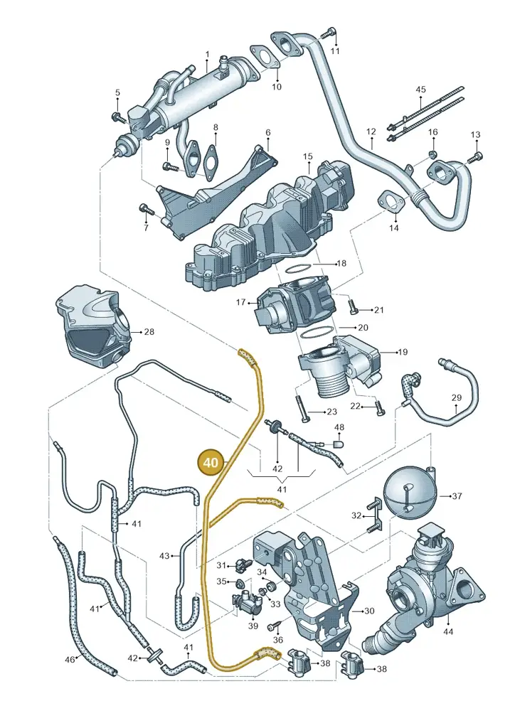 03L131552D — Audi A4 Av. Allroad (2008-2016) diagram 636131000, position 40