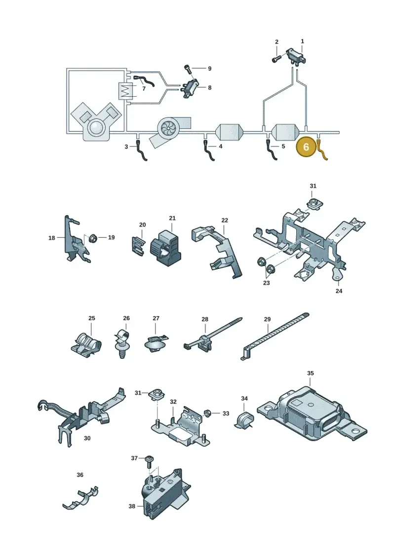 05L906088BN — Audi Q5 (2016-2020) diagram 896906008, position 6