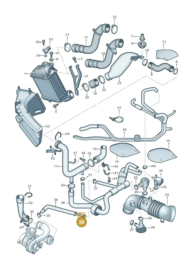 06A133382J — Audi TT Coupe/Roadster (2002-2006) diagram 278145750, position 36