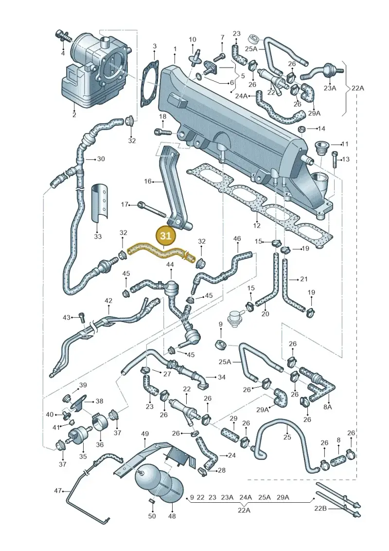 06A133781P — Audi A3/S3/QUATTRO (1996-2000) diagram 194133290, position 31
