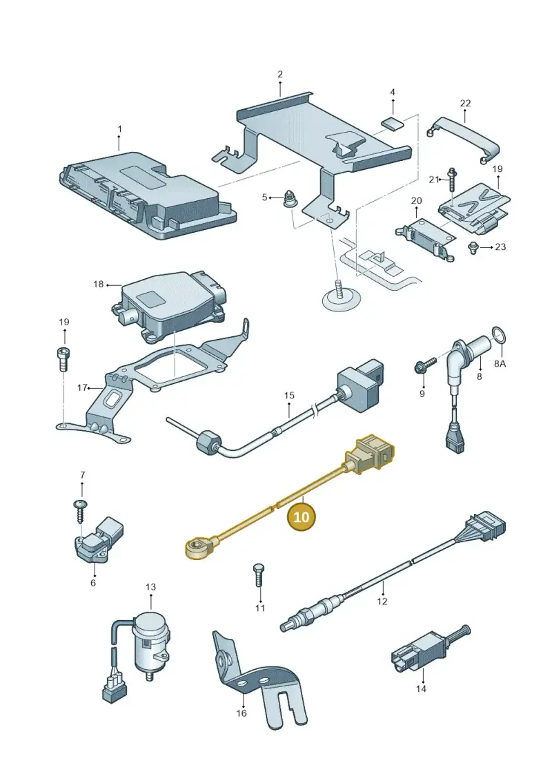 06A905377C — Audi A3/S3/QUATTRO (2000-2003) diagram 253906000, position 10