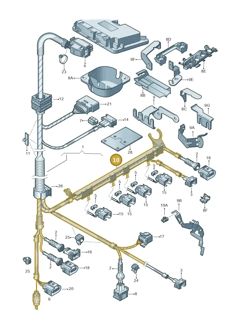 06A971824C — Audi A3/S3/QUATTRO (2000-2003) diagram 203971020, position 10