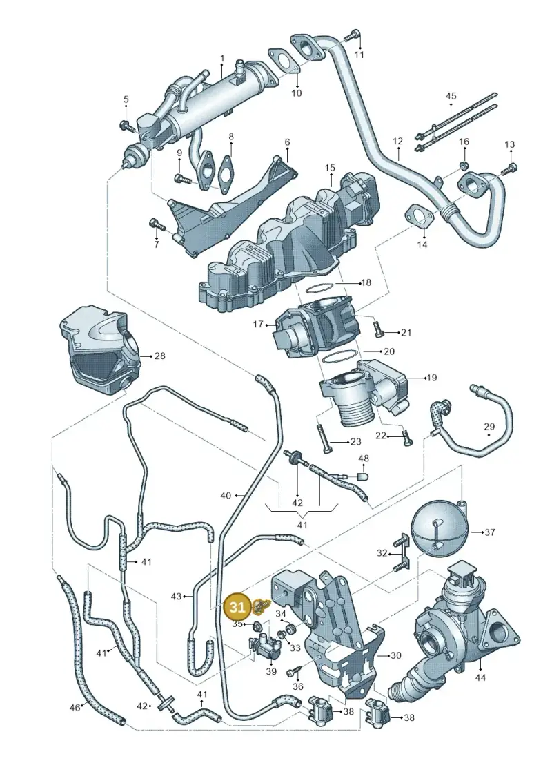 06B971845 — Audi A4 Av. Allroad (2008-2016) diagram 636131000, position 31