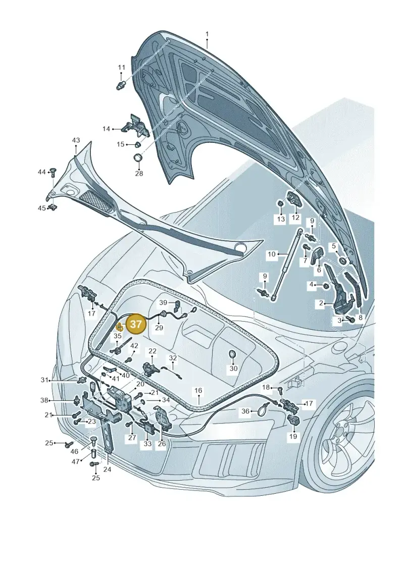 06B971845 — Audi R8 Spyder (2015-2024) diagram 872823000, position 37