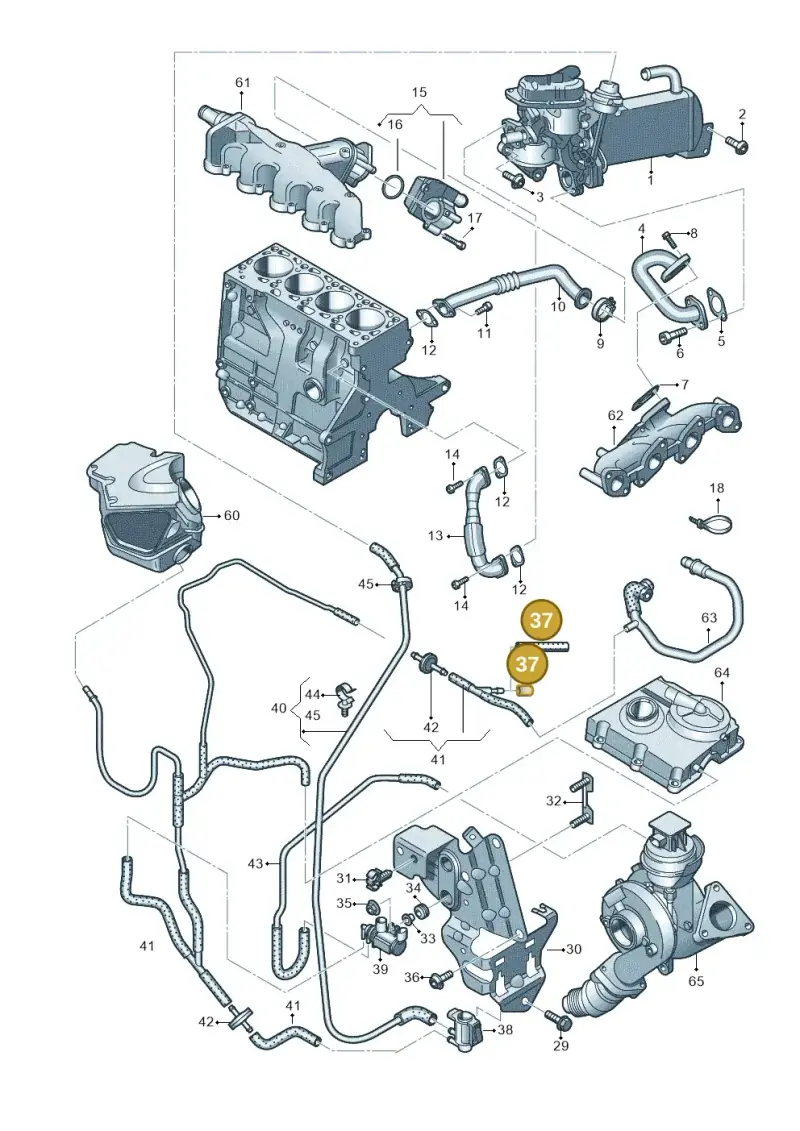 06C145291 — Audi A5 Sportback (2011-2017) diagram 647131100, position 37