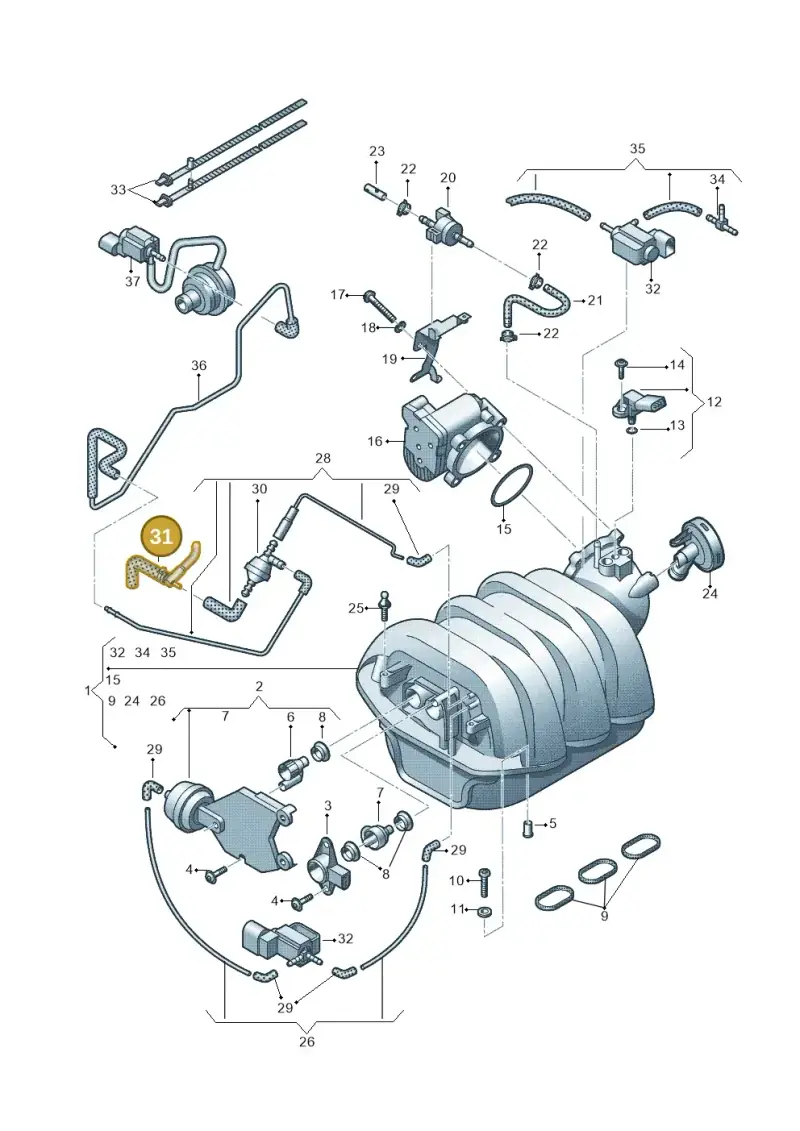 06E133773AR — Audi Q5 qu. 2.0 TDI (2008-2012) diagram 448133720, position 31