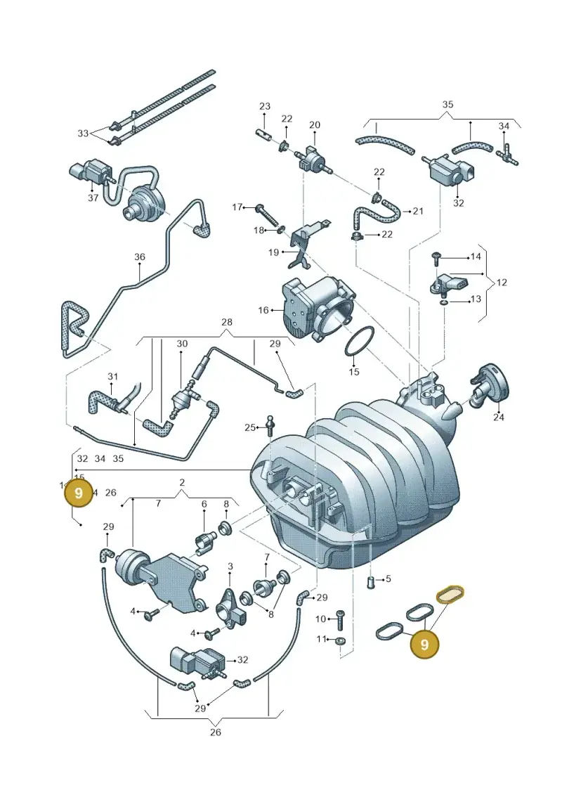 06E198717 — Audi Q5 qu. 2.0 TDI (2008-2012) diagram 448133720, position 9
