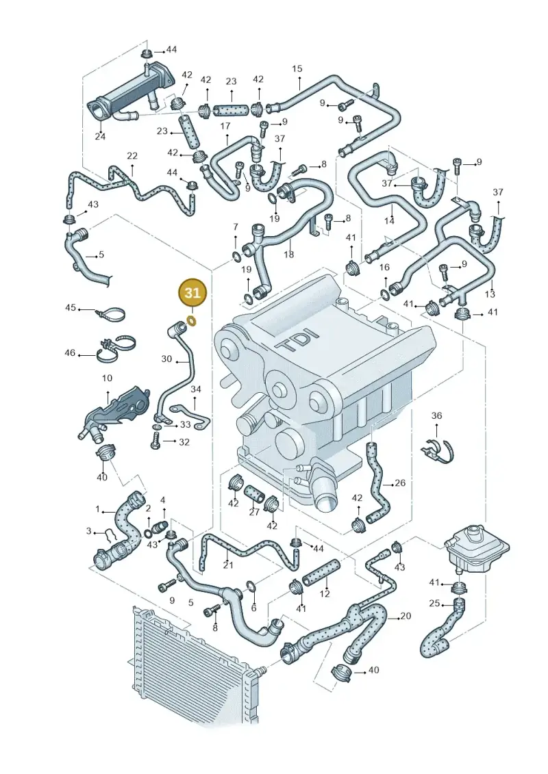 077121437 — Audi A4/S4/Av./qu.     05> (2005-) diagram 404121580, position 31