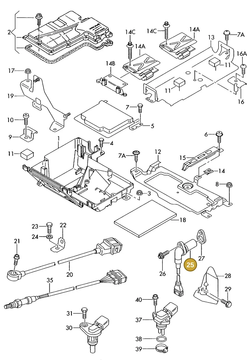 077905381F — Audi A8 quattro (1999-2002) diagram 255906000, position 25