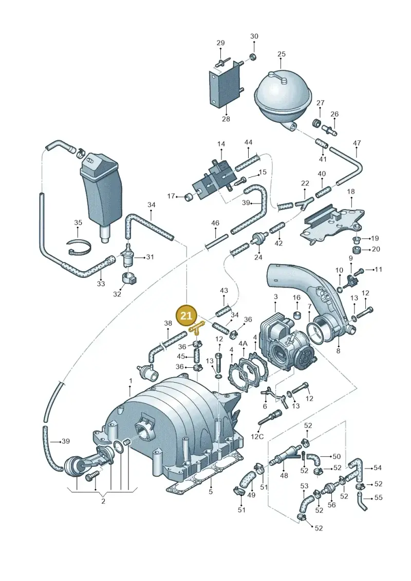 078129737A — Audi A8 quattro (1999-2002) diagram 218133800, position 21