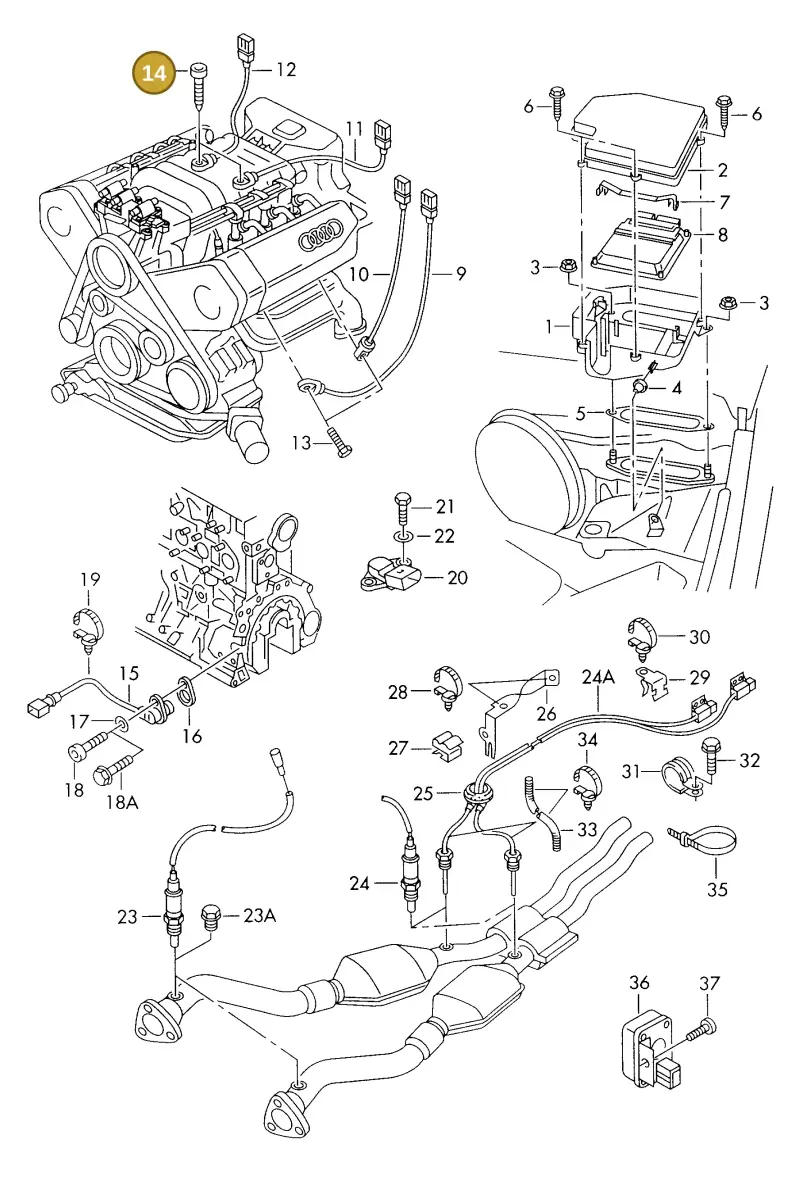 078905319 — Audi A6/Avant (1997-2001) diagram 260906000, position 14