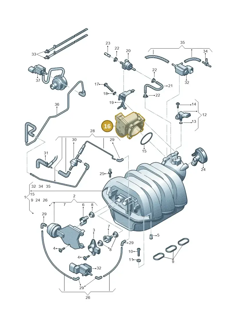 079133062C — Audi A6 2.7 TDI (2008-2011) diagram 448133720, position 16