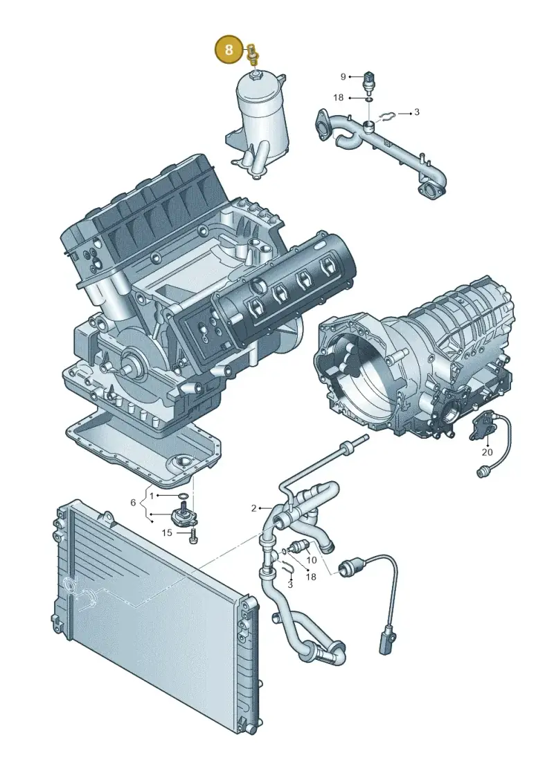 079919081 — Audi A6 2.7 TDI (2008-2011) diagram 247919800, position 8