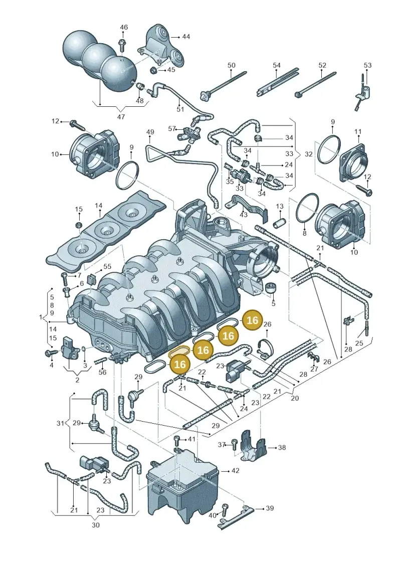 07L129717E — Audi RS4 Av. qu. 4.2 (2012-2015) diagram 695133200, position 16