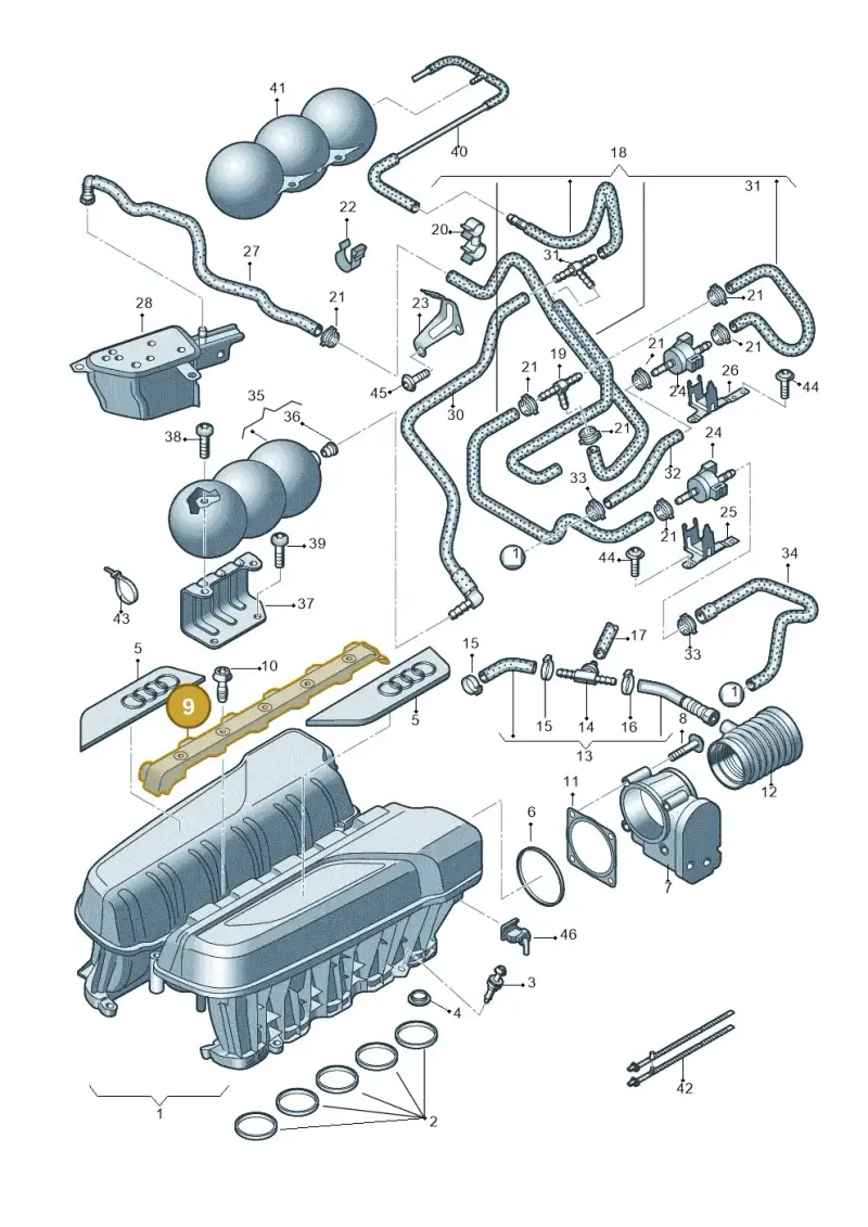 07L133920E — Audi R8                08> (2007-) diagram 618133150, position 9