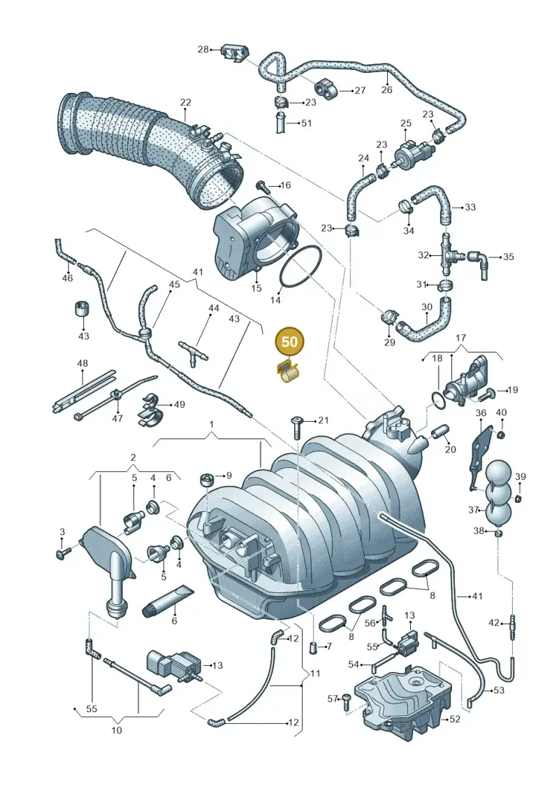 171201981 — Audi A6 2.7 TDI (2008-2011) diagram 620133830, position 50