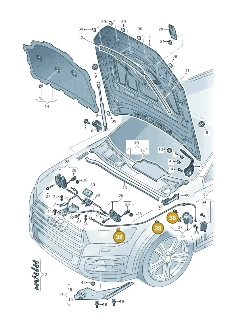 1T0823567 — Audi RS Q8 Quattro (2019-) diagram 429823000, position 38
