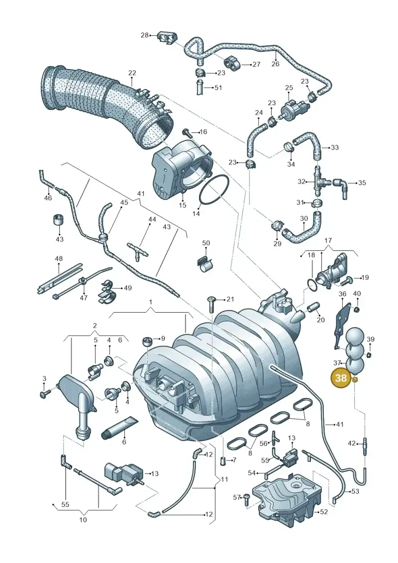 431820667 — Audi A6 2.7 TDI (2008-2011) diagram 620133830, position 38