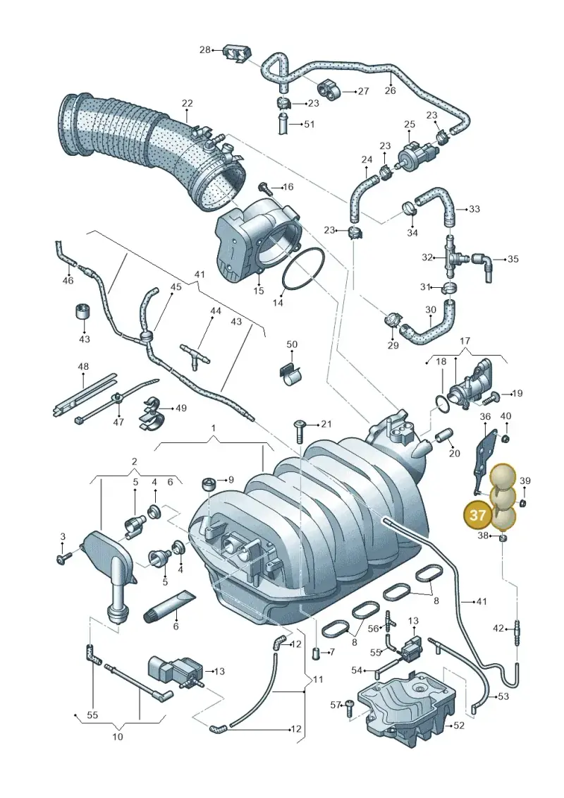 443131541 — Audi A6 2.7 TDI (2008-2011) diagram 620133830, position 37