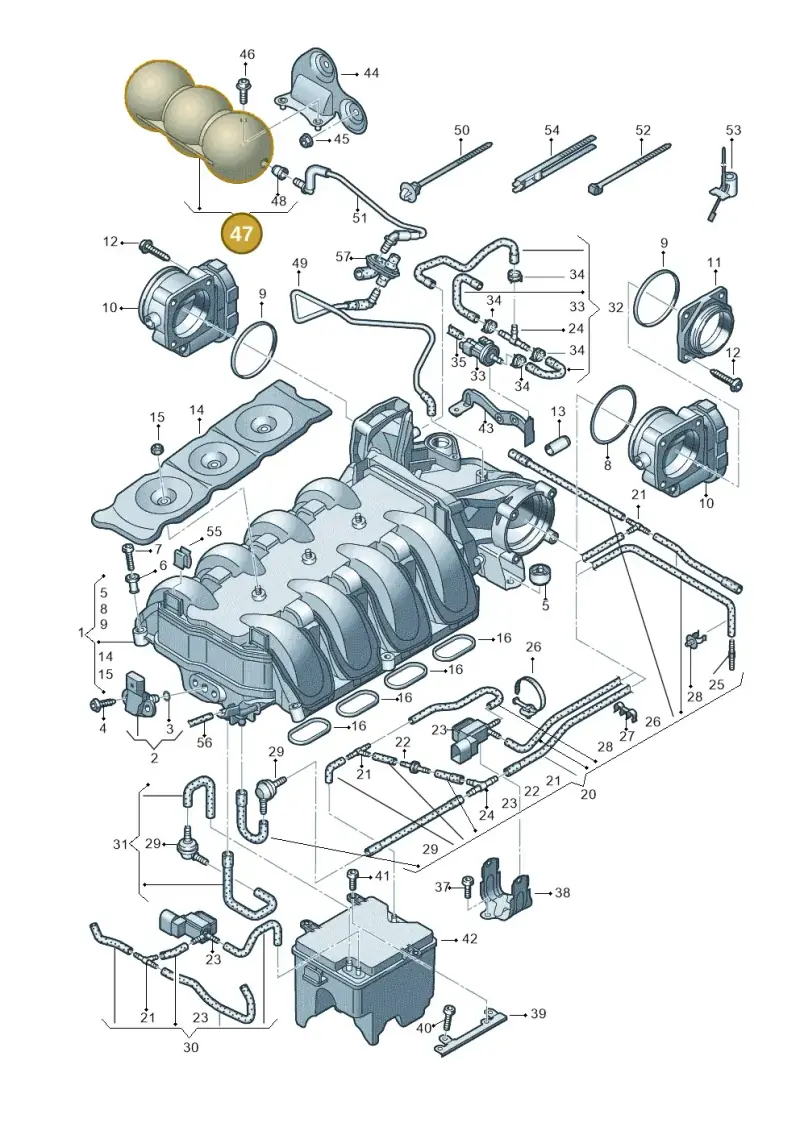 443131541 — Audi RS4 Av. qu. 4.2 (2012-2015) diagram 695133200, position 47