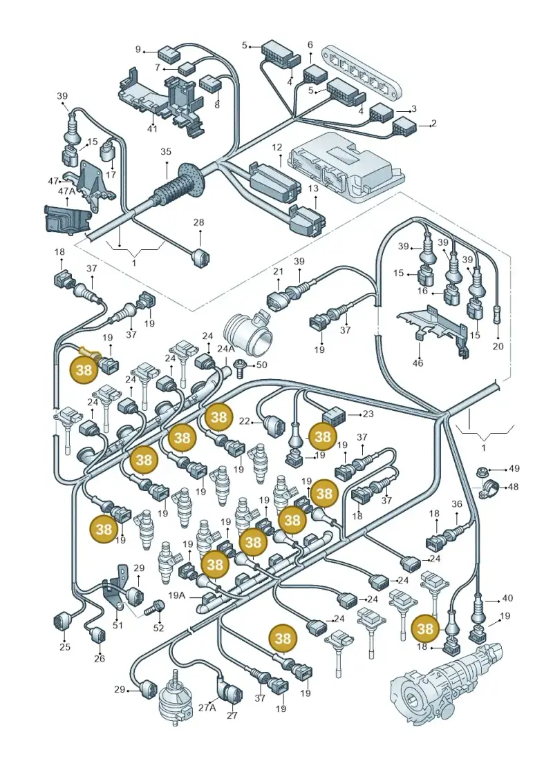 443906102C — Audi RS6 qu. (2003-2004) diagram 260971600, position 38