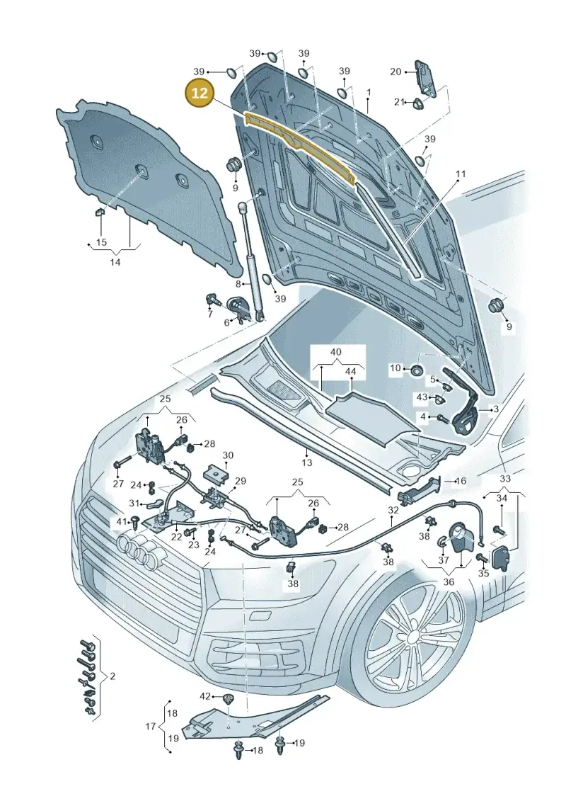 4M8823124 — Audi RS Q8 Quattro (2019-) diagram 429823000, position 12