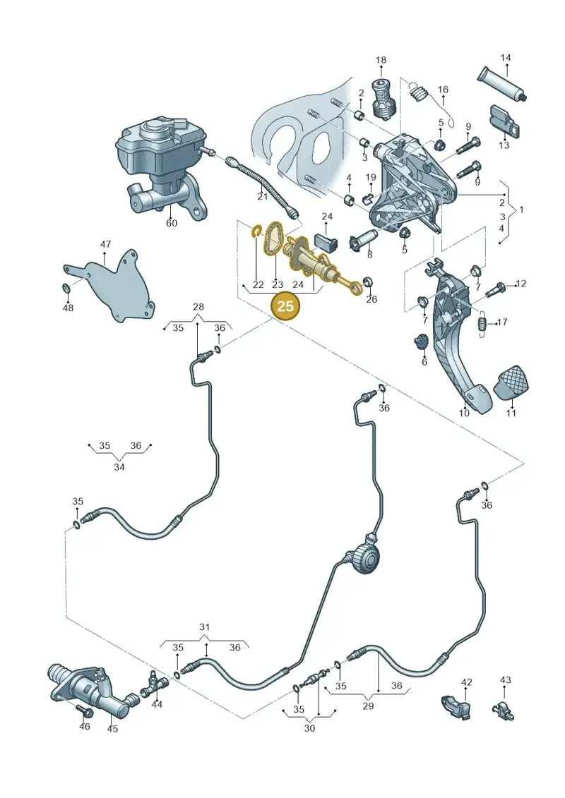 5Q0721388G — Audi A3 Cabrio (2016-2020) diagram 891721300, position 25