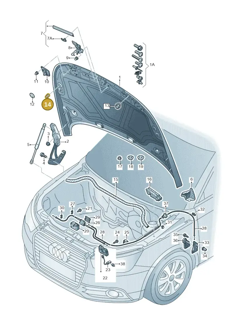 8D0823481 — Audi A1 Sportback (2014-2018) diagram 708823000, position 14