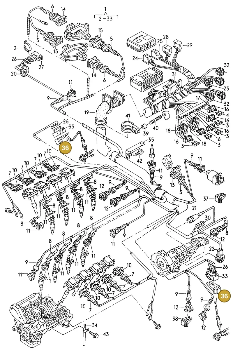 8D0971848B — Audi A8 quattro (1999-2002) diagram 153971600, position 36