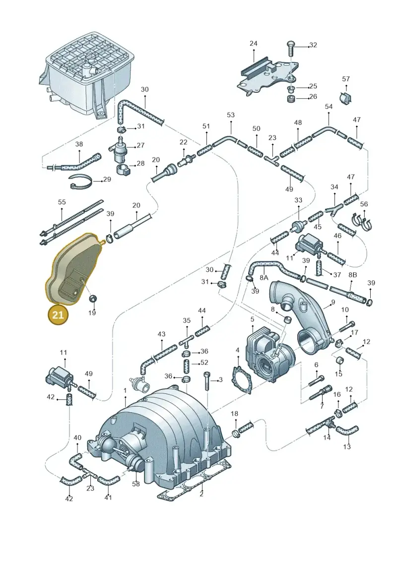 8E0131541C — Audi A4/S4/Av./qu.     05> (2005-) diagram 249133800, position 21