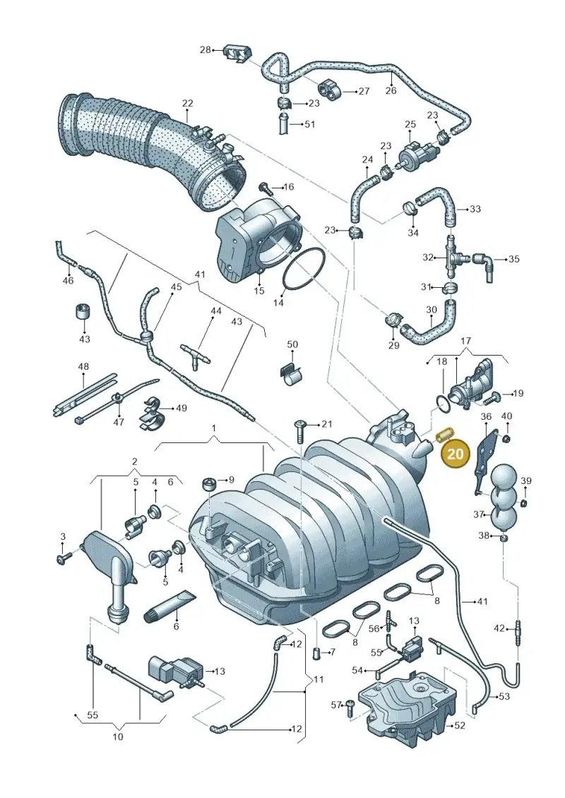 8E0201144 — Audi A6 2.7 TDI (2008-2011) diagram 620133830, position 20