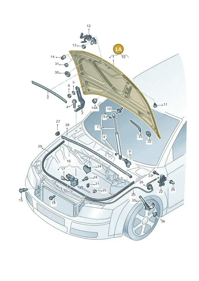 8E0823029D — Audi A4/S4/Av./qu.     05> (2005-) diagram 249823100, position 1A