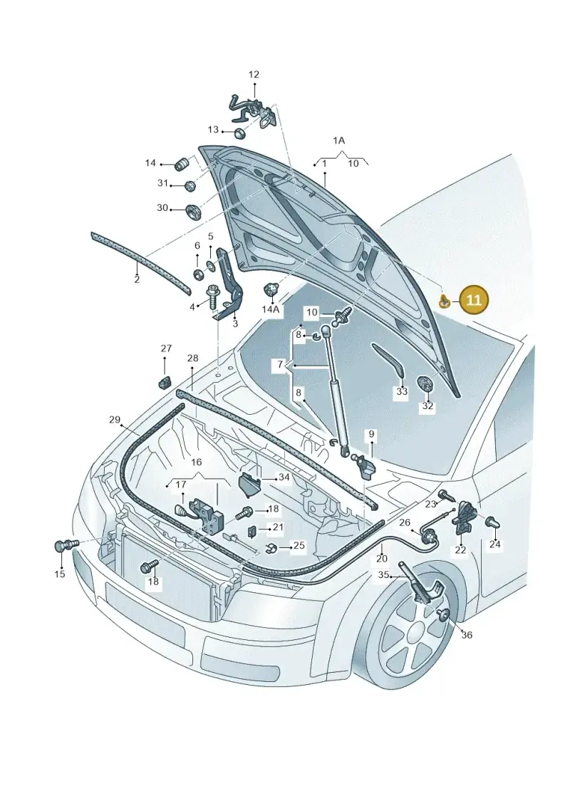 8E0823429 — Audi A4/S4/Av./qu. (2001-2004) diagram 249823100, position 11