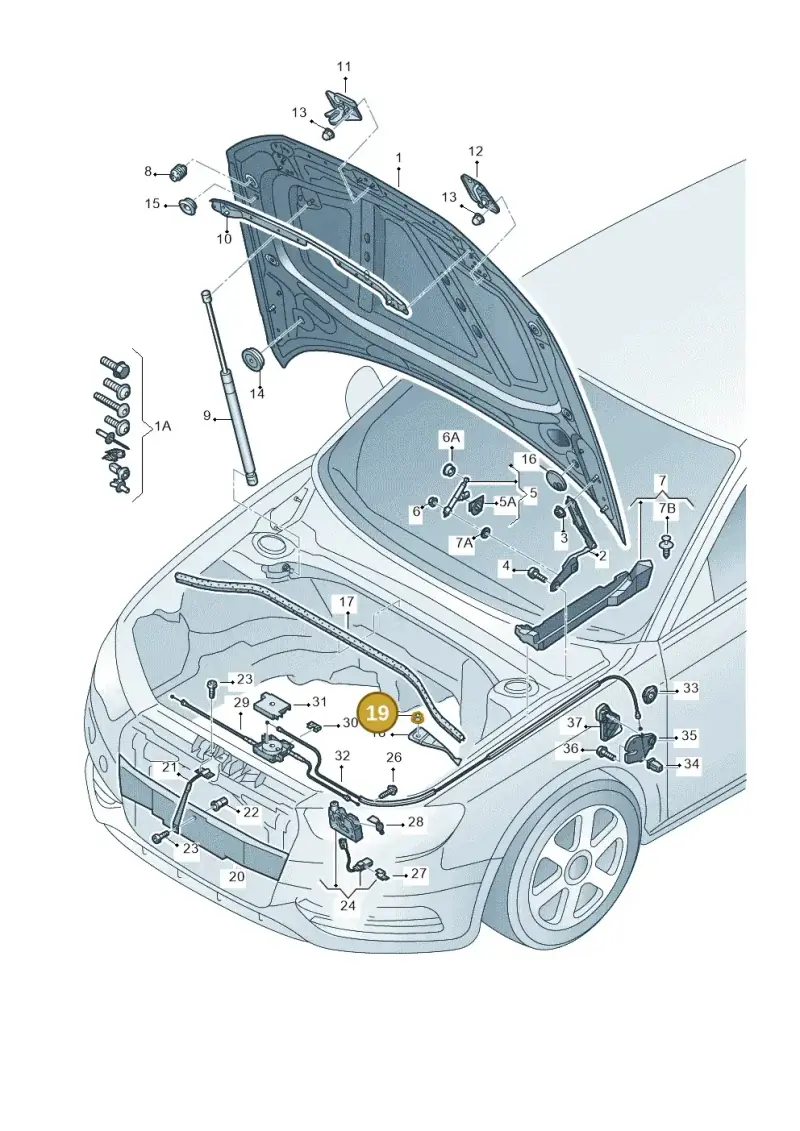 8E0825265C — Audi RS3 Sportback (2015-2016) diagram 745823000, position 19