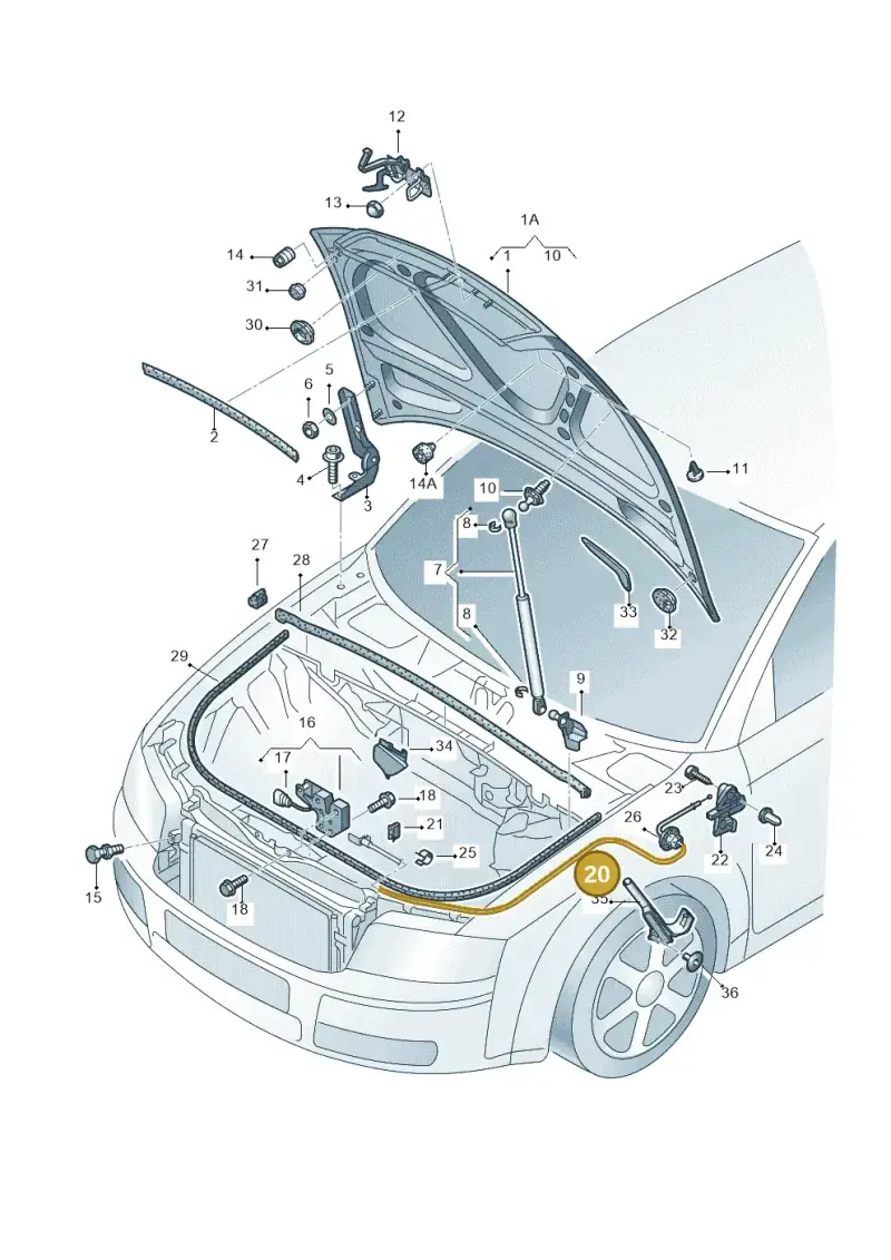 8E1823531D — Audi A4/S4/Av./qu. (2001-2004) diagram 249823100, position 20