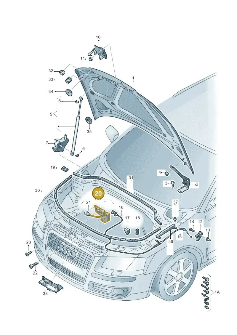 8P0823509D — Audi A3/S3/Sportb./qu. 08 (2007-) diagram 412823100, position 20