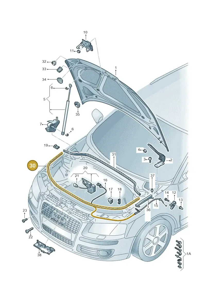 8P0823731A — Audi A3/S3/Sportb./qu. 08 (2007-) diagram 412823100, position 30