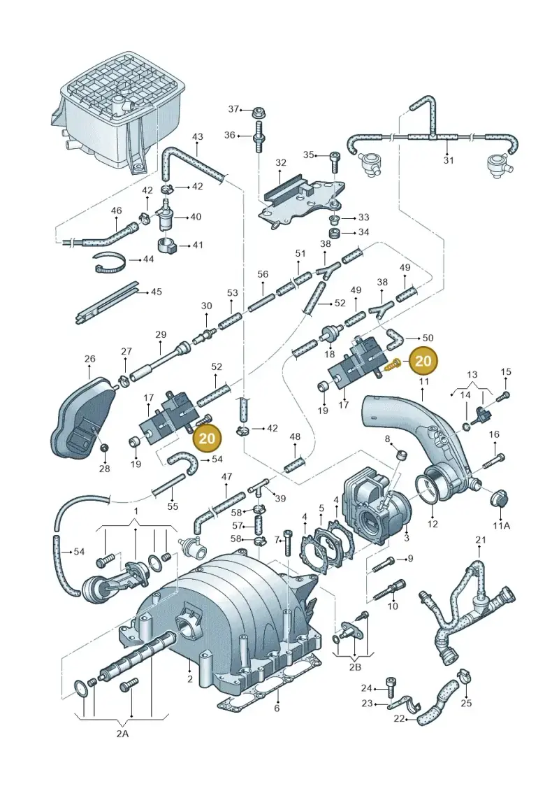 N01396520 — Audi A4/S4 Cabrio./qu. (2002-2006) diagram 249133750, position 20