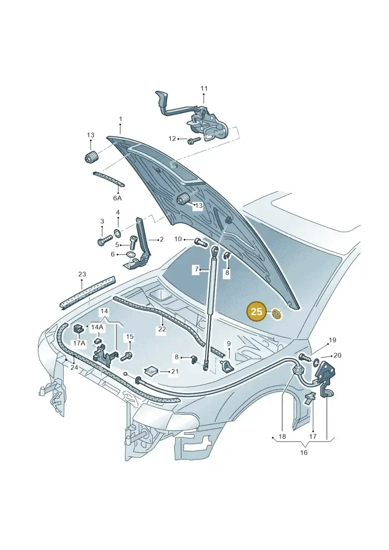 N0200271 — Audi RS4 AV. QU. (2000-2001) diagram 156823100, position 25