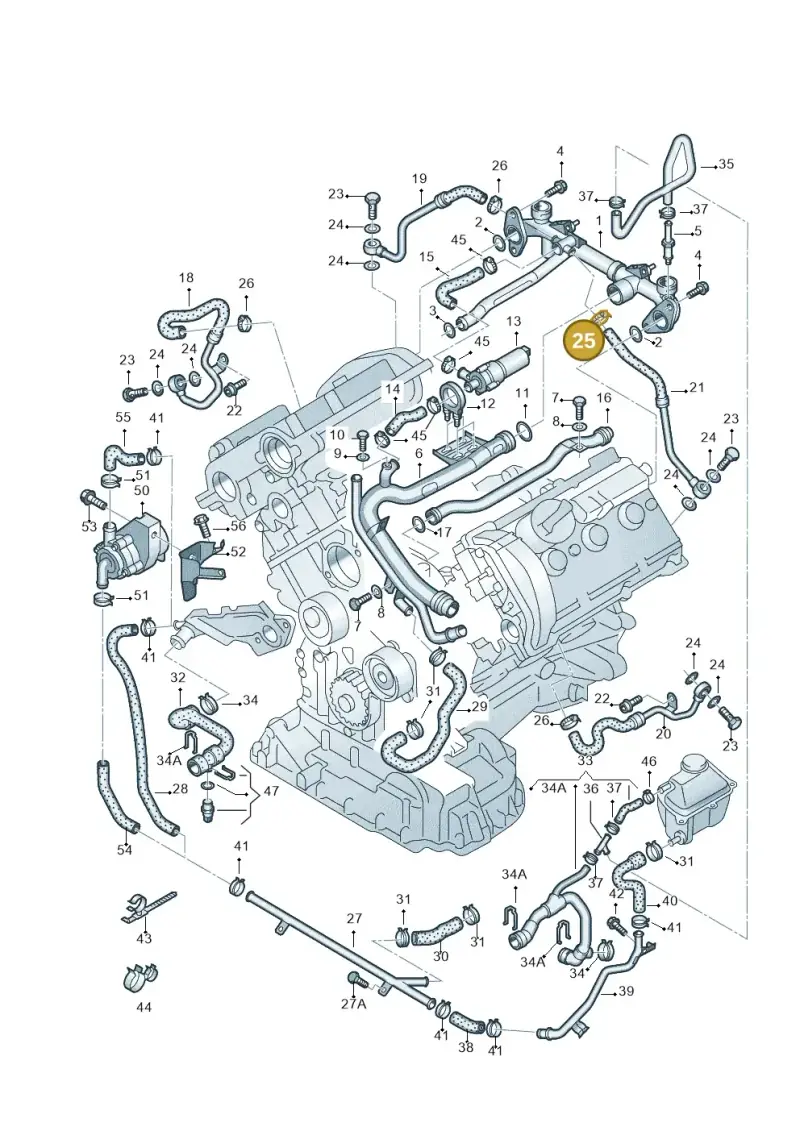 N0245281 — Audi A6/Wagon/quattro (2001-2004) diagram 219121680, position 25