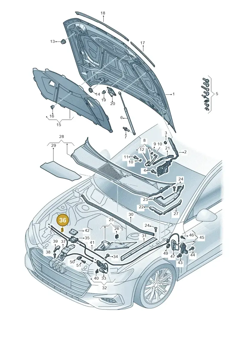 N90653901 — Audi RS6 Avant (2019-) diagram 430823000, position 36
