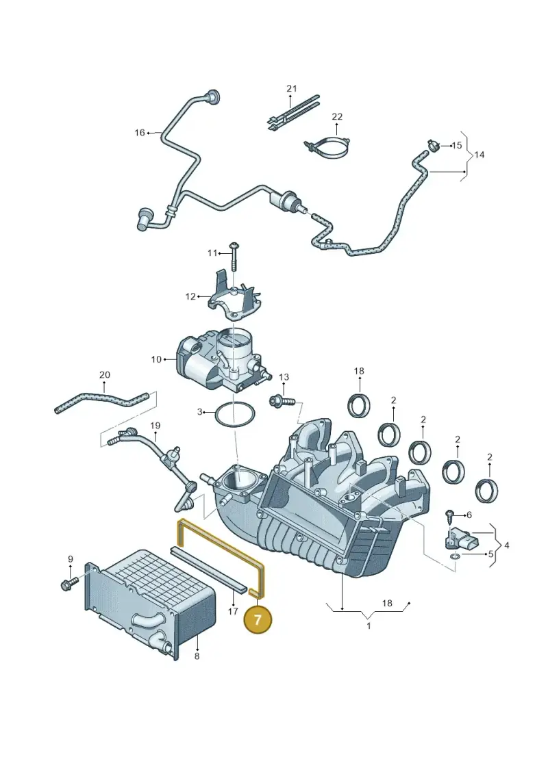 03C129717H — SEAT Altea XL Reference (2013-2013) diagram 649133200, position 7