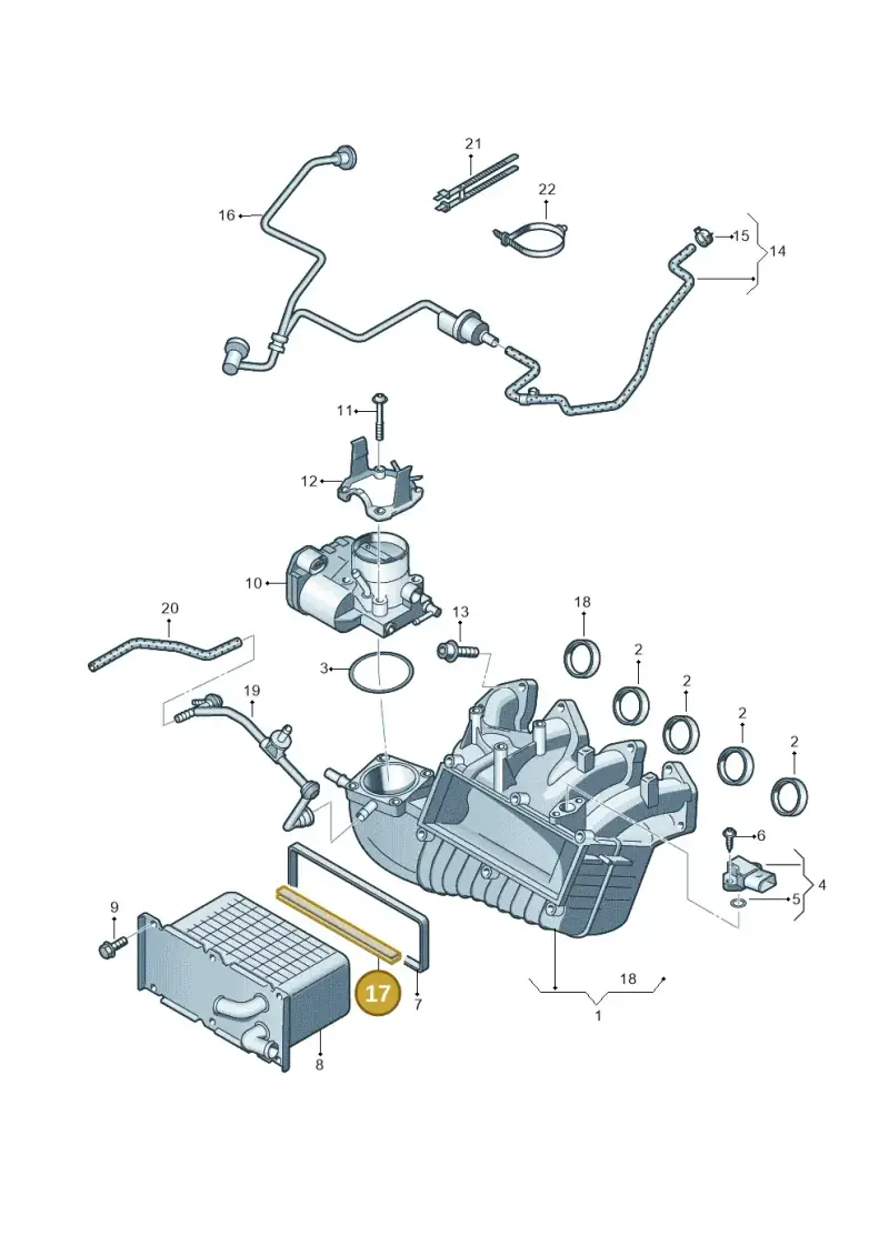 03F129717C — SEAT Ibiza Reference (2011-2012) diagram 649133200, position 17