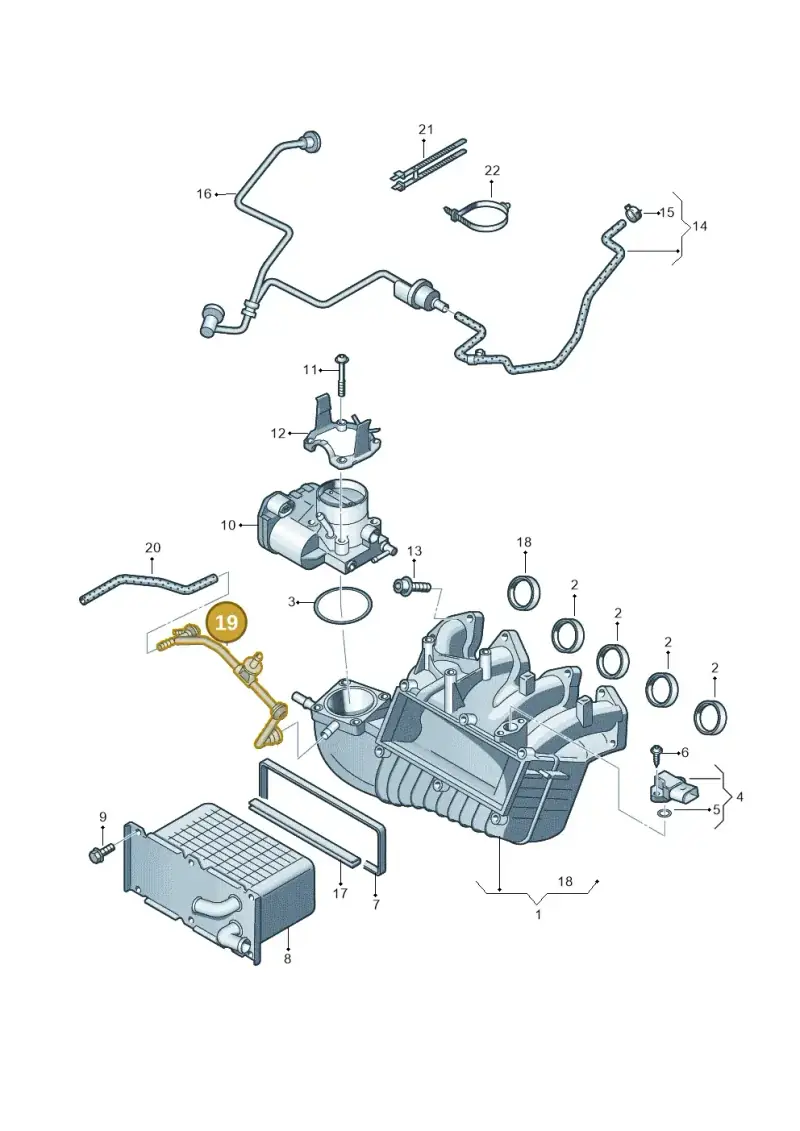 03F133751B — SEAT Ibiza Reference (2012-2012) diagram 649133200, position 19