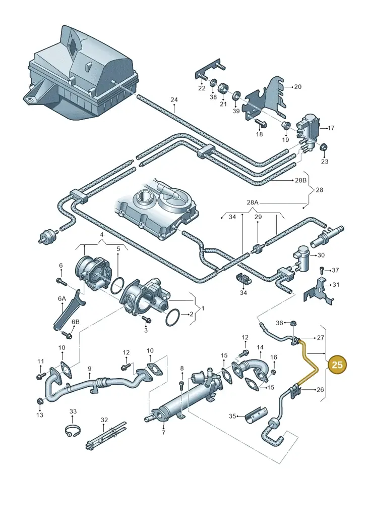 03L131605H — SEAT Altea XL Reference (2010-2013) diagram 663131850, position 25